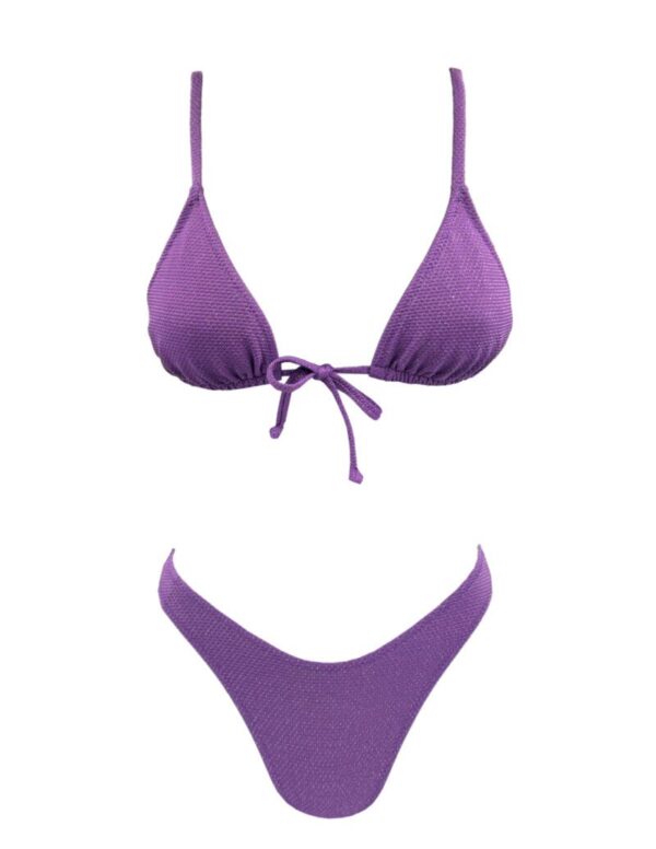 BERRY CLASSIC TRIANGLE BIKINI